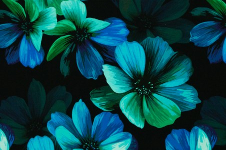 1m - Sweat  - Blüten blau...